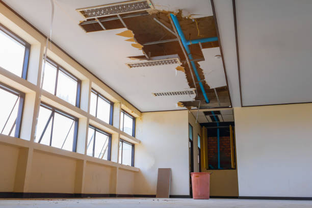 Best Carpet water damage restoration  in Spencer, TN
