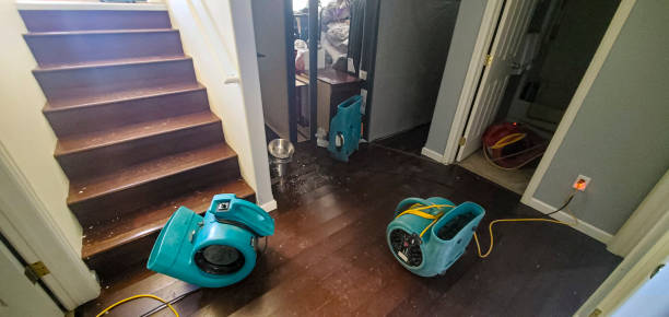 Best Flood damage cleanup  in Spencer, TN