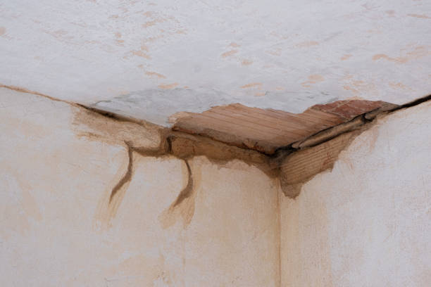 Best Carpet water damage restoration  in Spencer, TN
