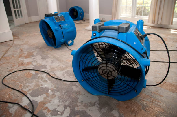 Best Fire Damage Restoration  in Spencer, TN